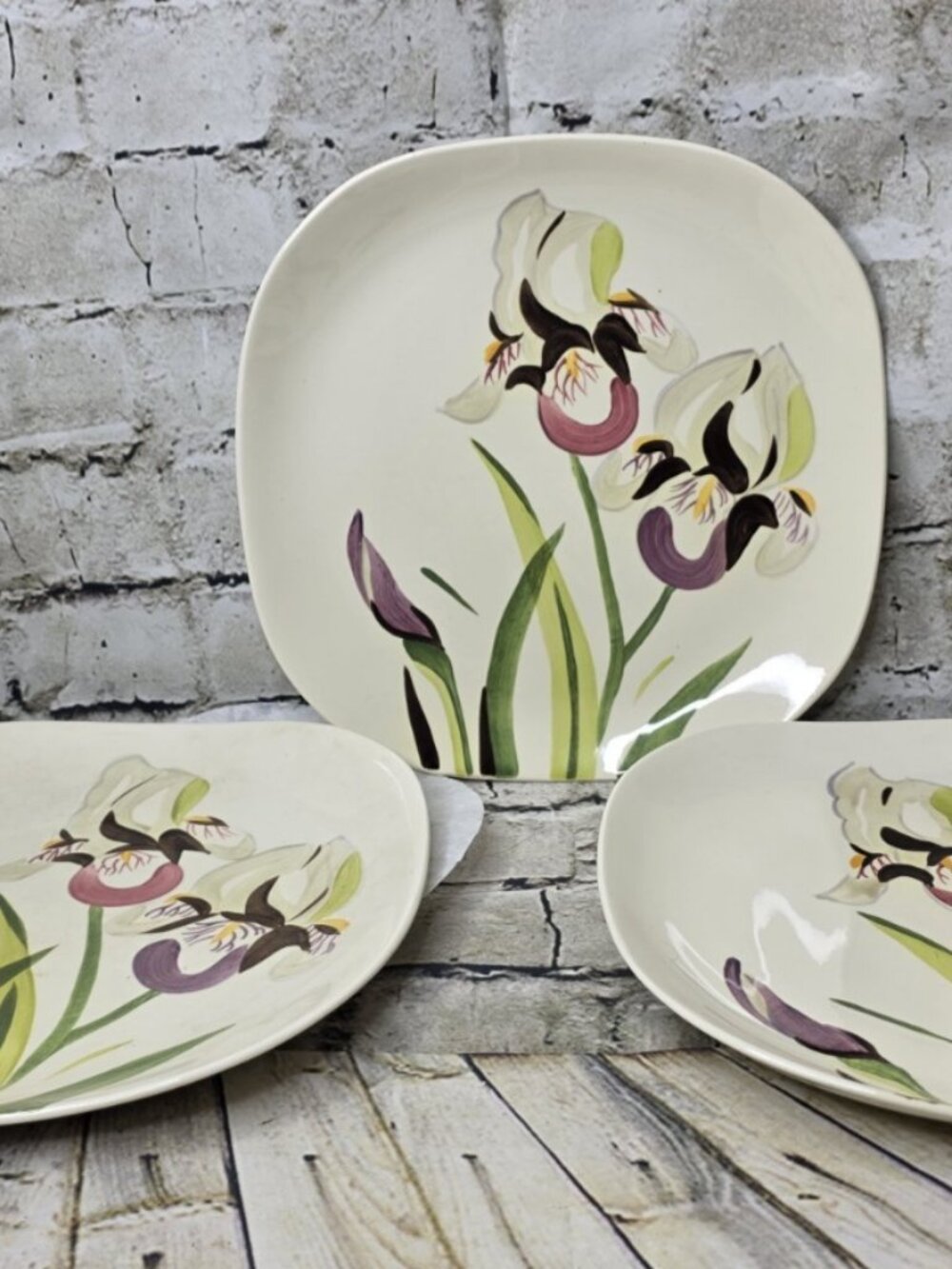 3 RED WING Pottery IRIS  10.5" Dinner Plates Vintage Hand Painted Floral